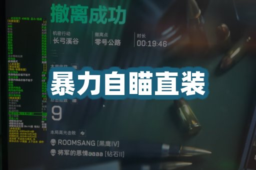 暴力自瞄直装